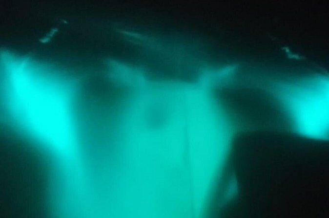 Bioluminescence swim with stars - The Itinerary in Detail