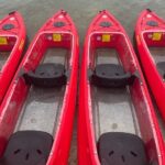 Bioluminescent Clear Bottom Kayak or Paddleboard Sit-On-Top Kayak Hybrid Tour! - The Experience: What Travelers Say