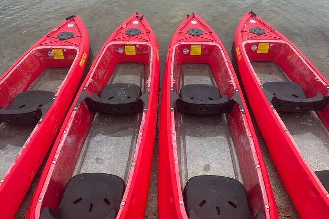 Bioluminescent Clear Bottom Kayak or Paddleboard Sit-On-Top Kayak Hybrid Tour! - The Experience: What Travelers Say