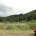 Bird Creek: Chugach State Park ATV Nature Tour & Hike - The Value of the Experience