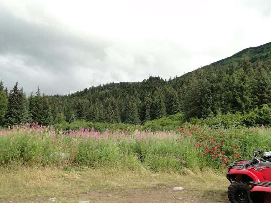 Bird Creek: Chugach State Park ATV Nature Tour & Hike - The Value of the Experience