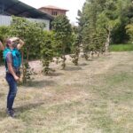 Bird Observation in the National Park of Uruapan. - Who Would Enjoy This Tour?
