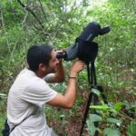 Bird Watching in Sian Ka´an Muyil - What We Think About the Experience