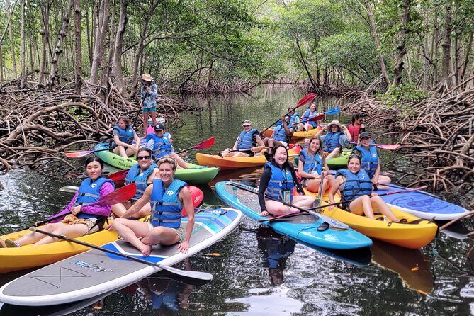 Biscayne Bay Island and Nature Exploration - Wildlife and Ecosystem Focus