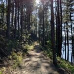 Black Hills: Private Tour of Mt. Rushmore & Flume Trail Hike - Real Traveler Insights