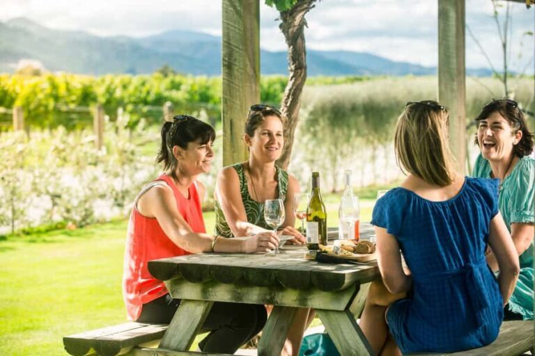 Blenheim/Renwick: Marlborough Half-Day Wine Tour with Lunch - Pricing and Value