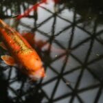 Bloedel Conservatory Admission Ticket - Who Should Consider Visiting?