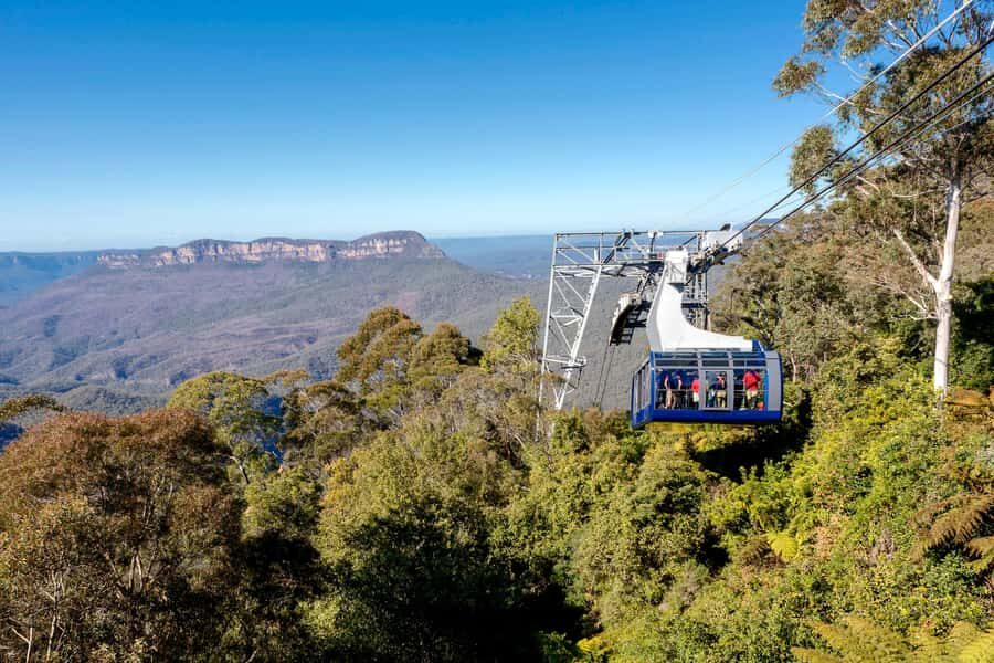 Blue Mountains Adventure: Scenic World, Zoo & Koala Photo - What the Reviews Say