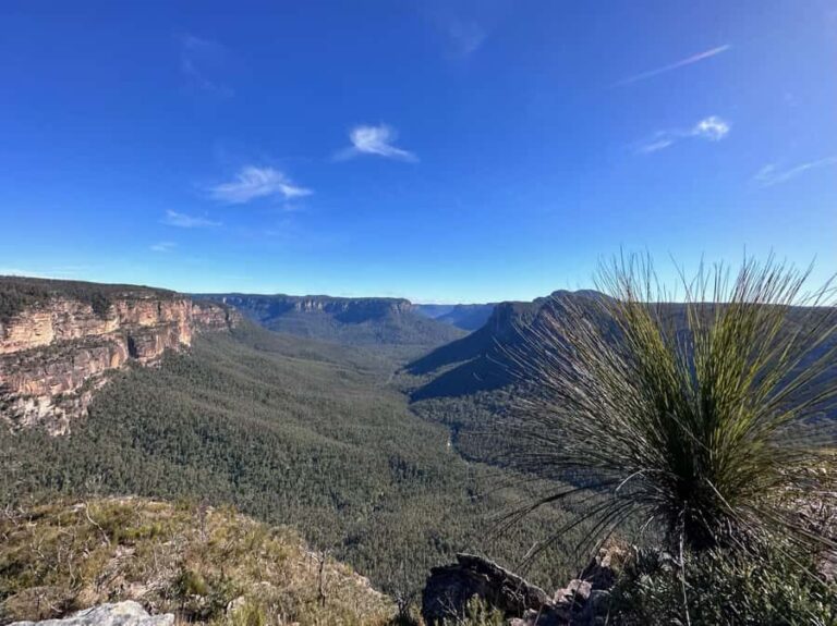 Blue Mountains: Butterbox Point Guided Hike - What Makes This Hike Stand Out?