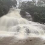 Blue Mountains day tour with Cruise, Scenic world pass & Zoo - Exploring the Iconic Spots