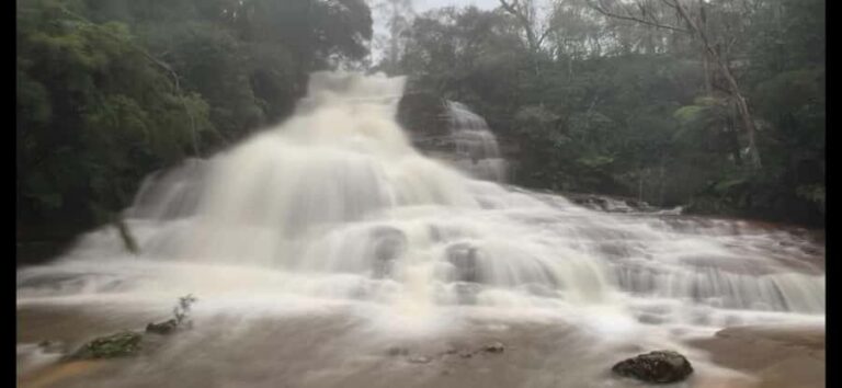 Blue Mountains day tour with Cruise, Scenic world pass & Zoo - Exploring the Iconic Spots