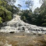 Blue Mountains: Katoomba Cascades & Falls Guided Hike - The Itinerary and Logistics
