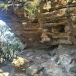 Blue Mountains: Overcliff-Undercliff Guided Hike - Final Thoughts