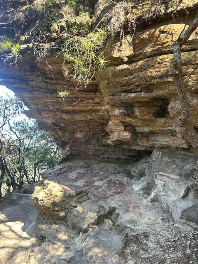 Blue Mountains: Overcliff-Undercliff Guided Hike - Final Thoughts