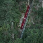 Blue Mountains Small-Group Tour from Sydney with Scenic World,Sydney Zoo & Ferry - What We Love and What to Watch Out For