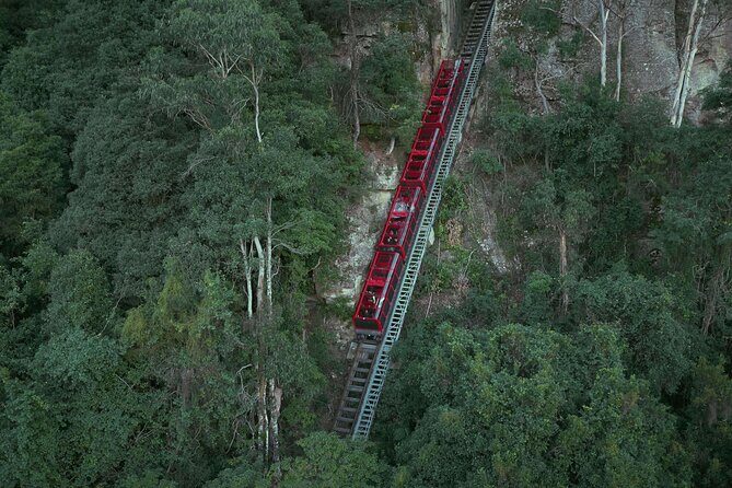 Blue Mountains Small-Group Tour from Sydney with Scenic World,Sydney Zoo & Ferry - What We Love and What to Watch Out For