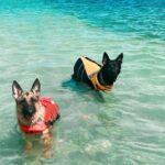 Boat Rentals to Shell Key, Treasure Island and St. Pete Beach - Detailed Breakdown of the Itinerary and Highlights