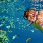 Boat Tour and Snorkel at Pelican Rock - A Closer Look at the Itinerary and Experience