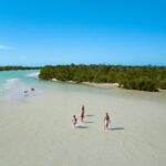 Boca Grande Kayaking Tour - Who Should Consider This Tour?