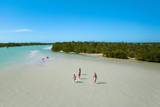 Boca Grande Kayaking Tour - Who Should Consider This Tour?