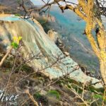 Boil the Water and Mitla Mezcal Tour - The Value of the Tour