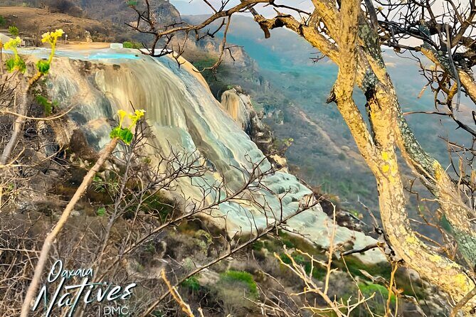 Boil the Water and Mitla Mezcal Tour - The Value of the Tour