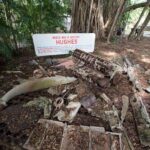 Bombing of Darwin World War II Tour with Harbour Cruise - Who Would Enjoy This Tour?