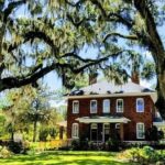 Bonaventure Cemetery Is Forever Tour - What to Expect from the Bonaventure Cemetery Is Forever Tour