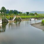 Bonaventure Cemetery & Wormsloe State Historic Site Tour - The Lunch Break: Tasting Savannah’s Local Flavors