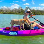 Bonita Springs Clear Kayak Tour with Dolphins & Manatees - The Itinerary in Detail