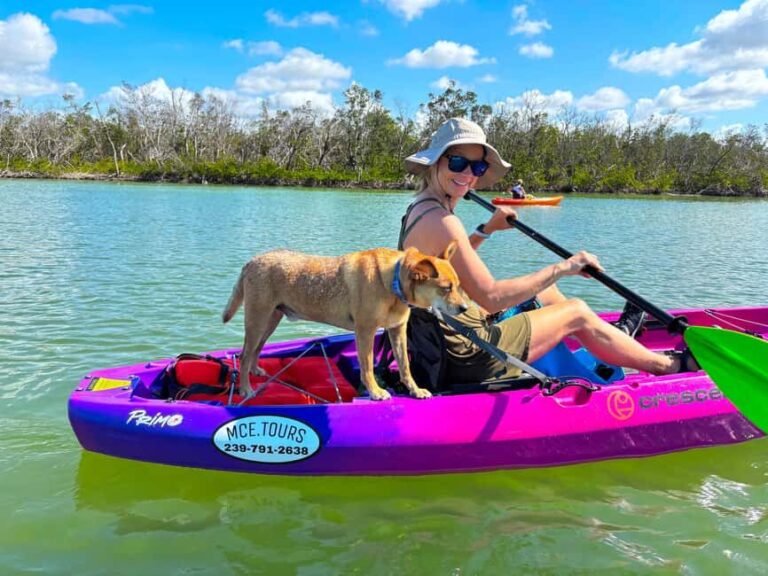 Bonita Springs Clear Kayak Tour with Dolphins & Manatees - The Itinerary in Detail