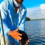 Bonita Springs: Kayak Tour with Manatees, Dolphins Sightings - The Value Proposition