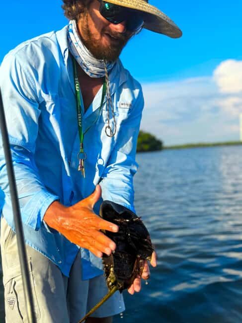 Bonita Springs: Kayak Tour with Manatees, Dolphins Sightings - The Value Proposition