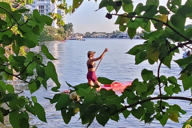 Bonnet House 2 Hour Rental (Paddleboard or Kayak) - Who Will Love This?