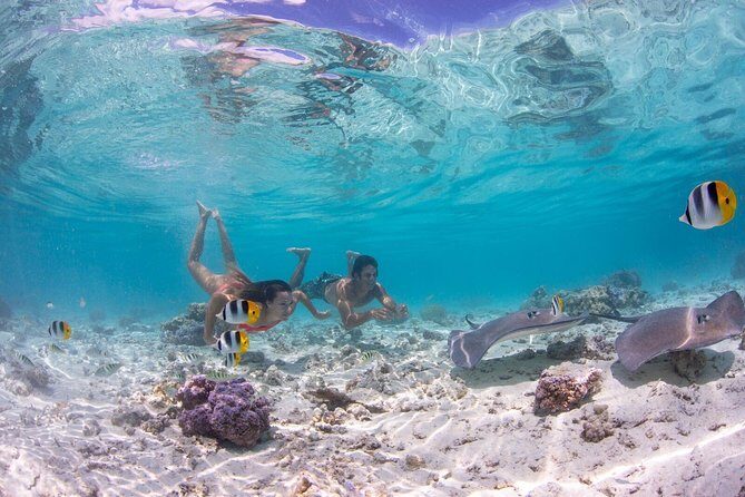 Bora Bora Eco Snorkel Cruise Including Snorkeling with Sharks and Stingrays - Detailed Itinerary Breakdown