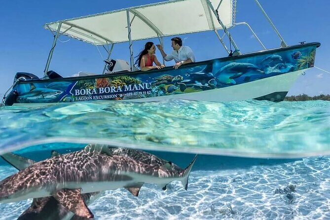 Bora Bora Half Day Snorkeling - What to Expect from the Bora Bora Half Day Snorkeling Tour