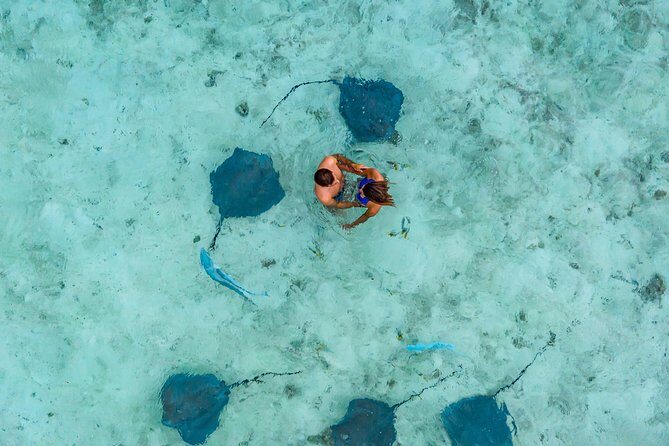 Bora Bora Jet Ski Tour, & Eco Shark / Ray Snorkel Cruise - The Experience You Can Expect