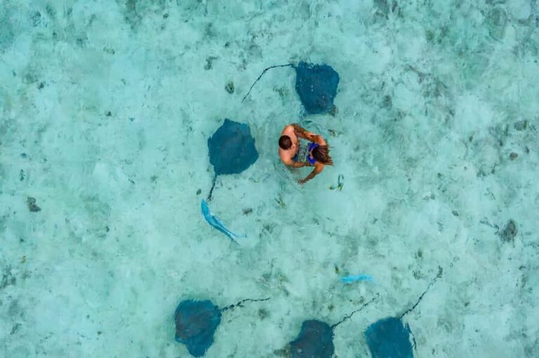 Bora Bora: Private Boat Tour with Snorkeling and Drinks - Who Will Love This Tour?