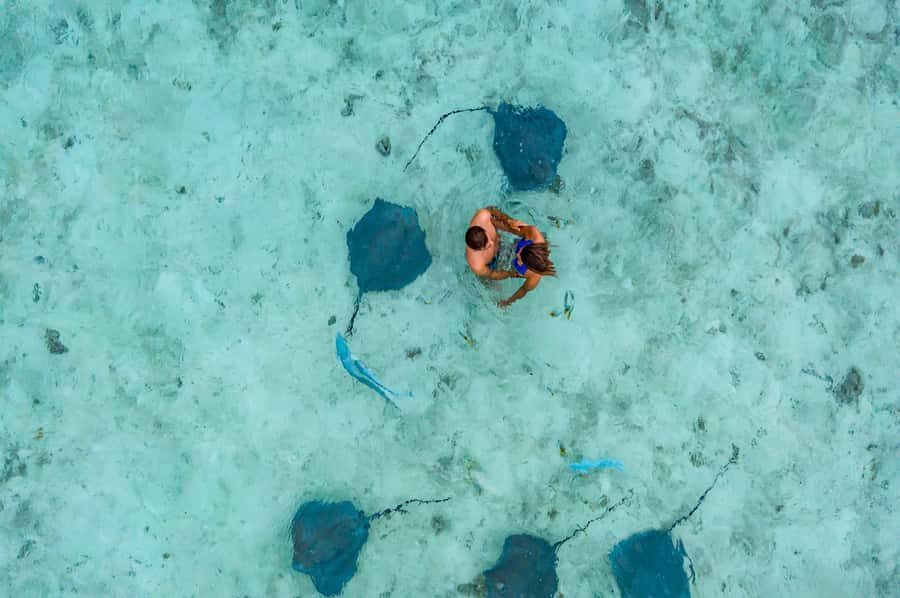 Bora Bora: Private Boat Tour with Snorkeling and Drinks - Who Will Love This Tour?