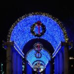 Boston: A Bostonian Christmas Private Tour - Who Would Love This Tour?