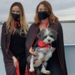 Boston: Dog-Friendly Halloween Costume & Sightseeing Cruise - The Sights and Highlights