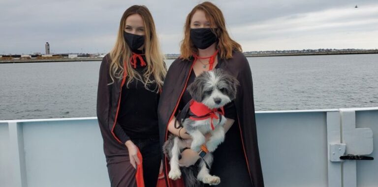 Boston: Dog-Friendly Halloween Costume & Sightseeing Cruise - The Sights and Highlights