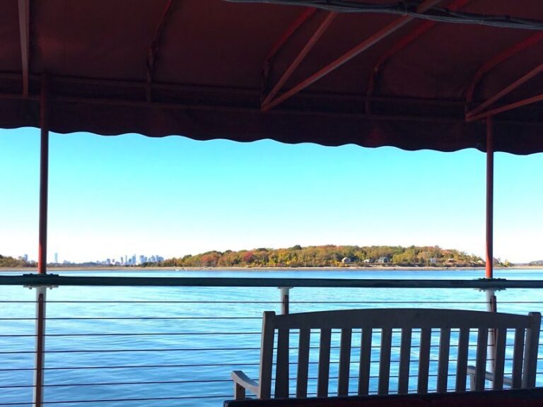 Boston Harbor Fall Foliage Weekend Brunch Cruise - Who Should Consider This Cruise?