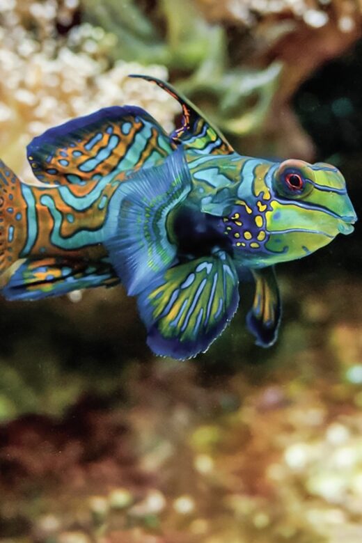 Boston: New England Aquarium Entry + Optional Simons Theatre - Who Will Enjoy This Tour?