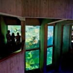 Boston Pass: Save up to 50% - Includes Franklin Park Zoo - How Does the Digital Experience Work?