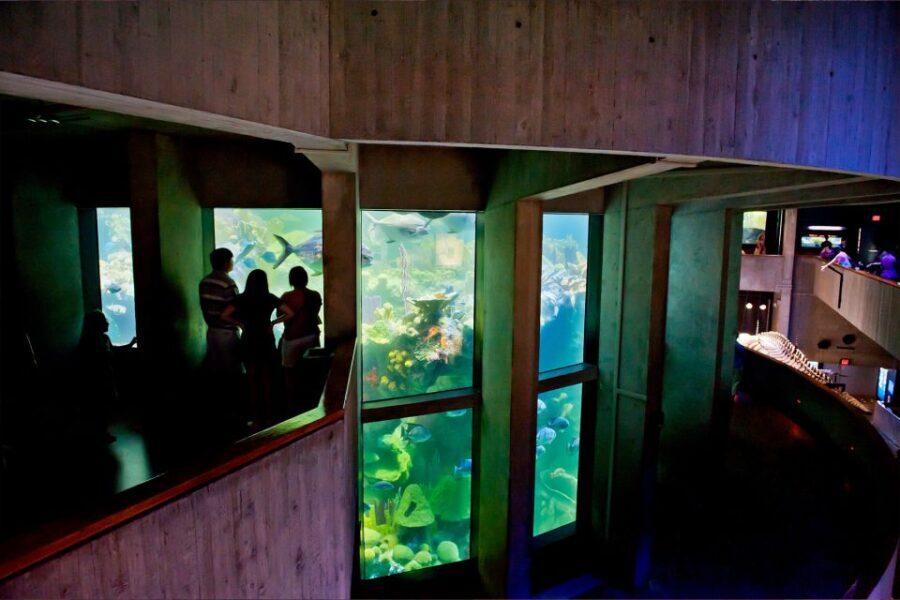 Boston Pass: Save up to 50% - Includes Franklin Park Zoo - How Does the Digital Experience Work?