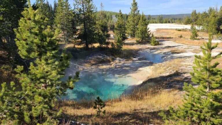 Bozeman: Yellowstone & Grand Teton National Park with Hotel - What’s Included and What to Budget For