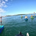 Bradenton: Guided Pedal Kayak Tour - What to Expect from the Guided Pedal Kayak Tour