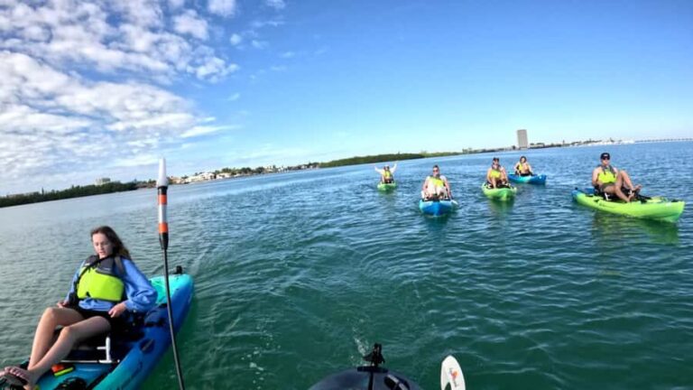 Bradenton: Guided Pedal Kayak Tour - What to Expect from the Guided Pedal Kayak Tour