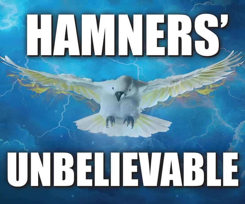 Branson: Hamners' Unbelievable New Year's Eve Extravaganza - The Practical Aspects